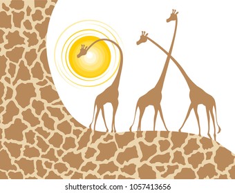 nice giraffes illustration