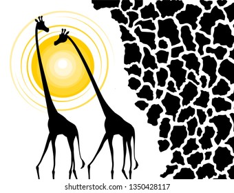 nice giraffes illustration