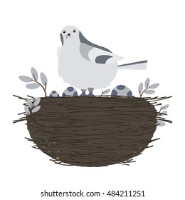 Nice gray bird in the nest. Eggs in nest with Chicks.