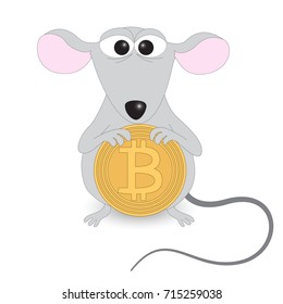 A nice gray mouse holds bitcoin in its paws