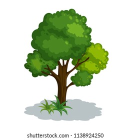 Nice Green Tree wtih shadow and grass elemet vector