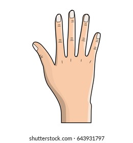 nice hand with all fingers and nails