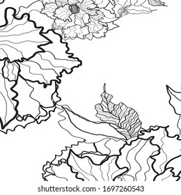 nice hand drawn rose flowers pattern background. creative doodle florals and leaves for card, posters, investors, flyers