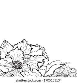 nice hand drawn rose flowers pattern background. creative doodle florals and leaves for card, posters, investors, flyers