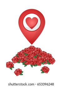 nice heat symbol and roses