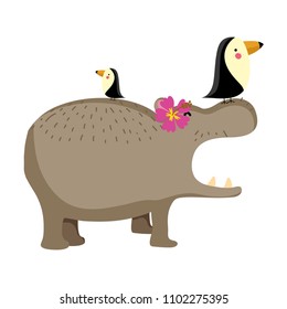 nice hippopotamus and toucans wild animals