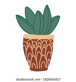 Nice house plant in a flower pot decorated with ornaments. Vector hand drawn illustration isolated on white background. Flat style.