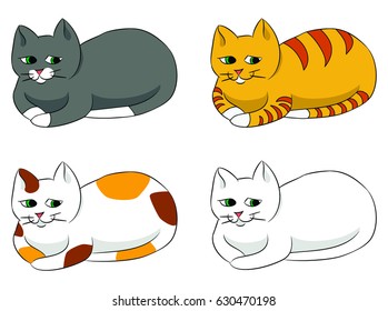 Nice and kind cat in four suits: ?ed, spotty and dark.
