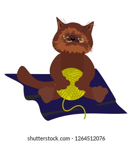 nice kitten with clew on the carpet