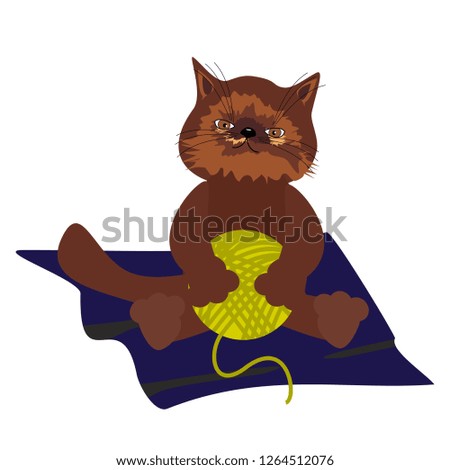nice kitten with clew on the carpet