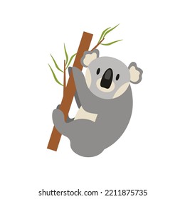 A nice koala is sitting on a tree. Vector illustration isolated on white background EPS
