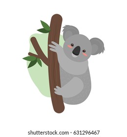 A nice koala is sitting on a tree. Vector illustration isolated on white background