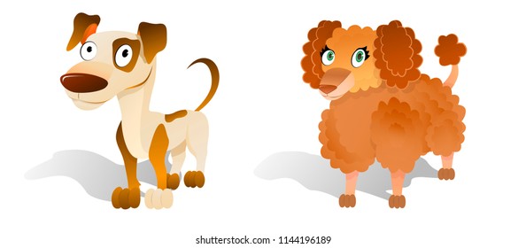 Nice lady and energetic terrier. Vector illustration of Jack Russell Terrier and Poodle