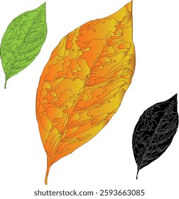 a nice leaf green red black