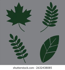 A nice leaf set vector image