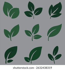 A nice leaf set vector image