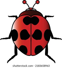 nice little bug graphic vector illustration for kids coloring book
