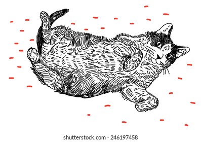 25,178 imágenes de Cat playing drawing - Imágenes, fotos y vectores de ...