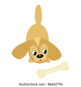 nice little dog with bone