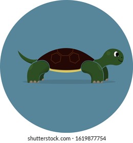 Nice little green turtle with a brown shell on a blue background