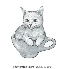 nice little kitty sitting in a large coffeecup, hand drawn vintage style illustration