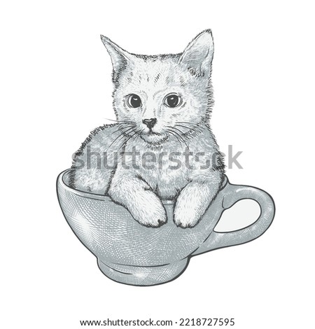nice little kitty sitting in a large coffeecup, hand drawn vintage style illustration