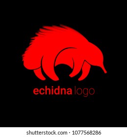 Nice logo of an animal. Cute echidna with red body. Good choice of logotype for your company. Design of vector illustration on the black background.