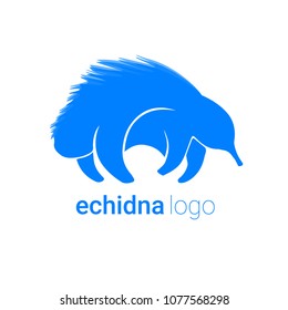 Nice logo of an animal. Cute echidna with blue body. Good choice of logotype for your company. Design of vector illustration on the white background.