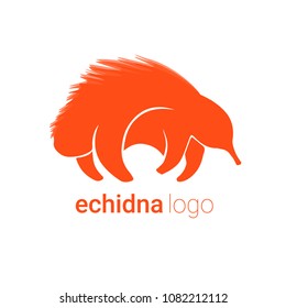 Nice logo of an animal. Cute echidna with orange body. Good choice of logotype for your company. Design of vector illustration on the white background.