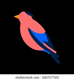 Nice logo of a bird. Cute jay with blue wings and pink body and yellow beak. Good choice of logotype for your company. Design of vector illustration on the black background.