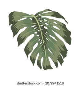 bonita ilustración de monstera sobre blanco