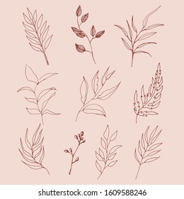 Nice neat silouettes of branches, leaves and berries