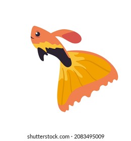 nice orange and black fish