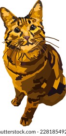 A nice orange cat is sitting on a white background, an orange and striped cat is looking at a white background. Vector. Illustration