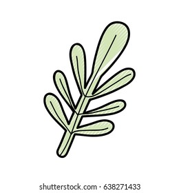 nice organic leaf plant