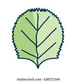 nice organic leaf plant