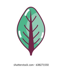 nice organic leaf plant