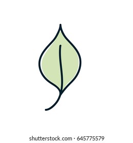 nice organic leaf plant
