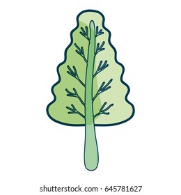 nice organic plant with branches