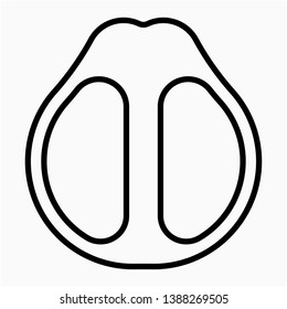 Nice Outline Pomelo vector icon