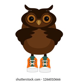 nice owl on white background isolated 