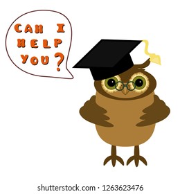 nice owl and question on white 