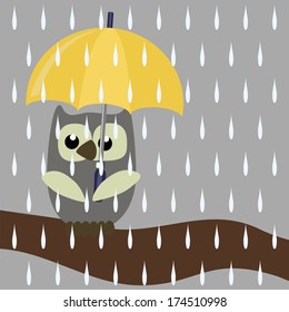 nice owl with umbrella