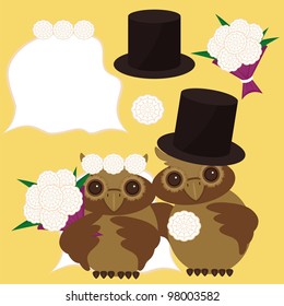 nice owls  bridegroom and bride