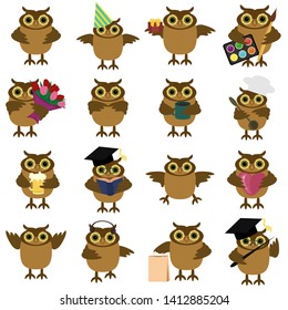 nice owls isolated on white background 