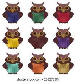 nice owls on white background