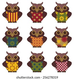 nice owls on white background