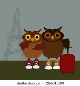 nice owls in Paris