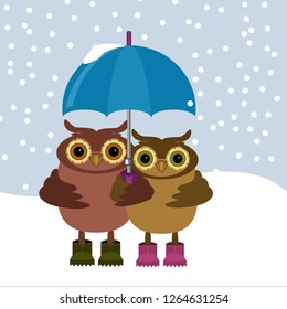 nice pair of owls with umbrella in winter days