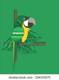 Nice parrot on green background